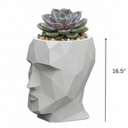 Adan Planter 16.5"