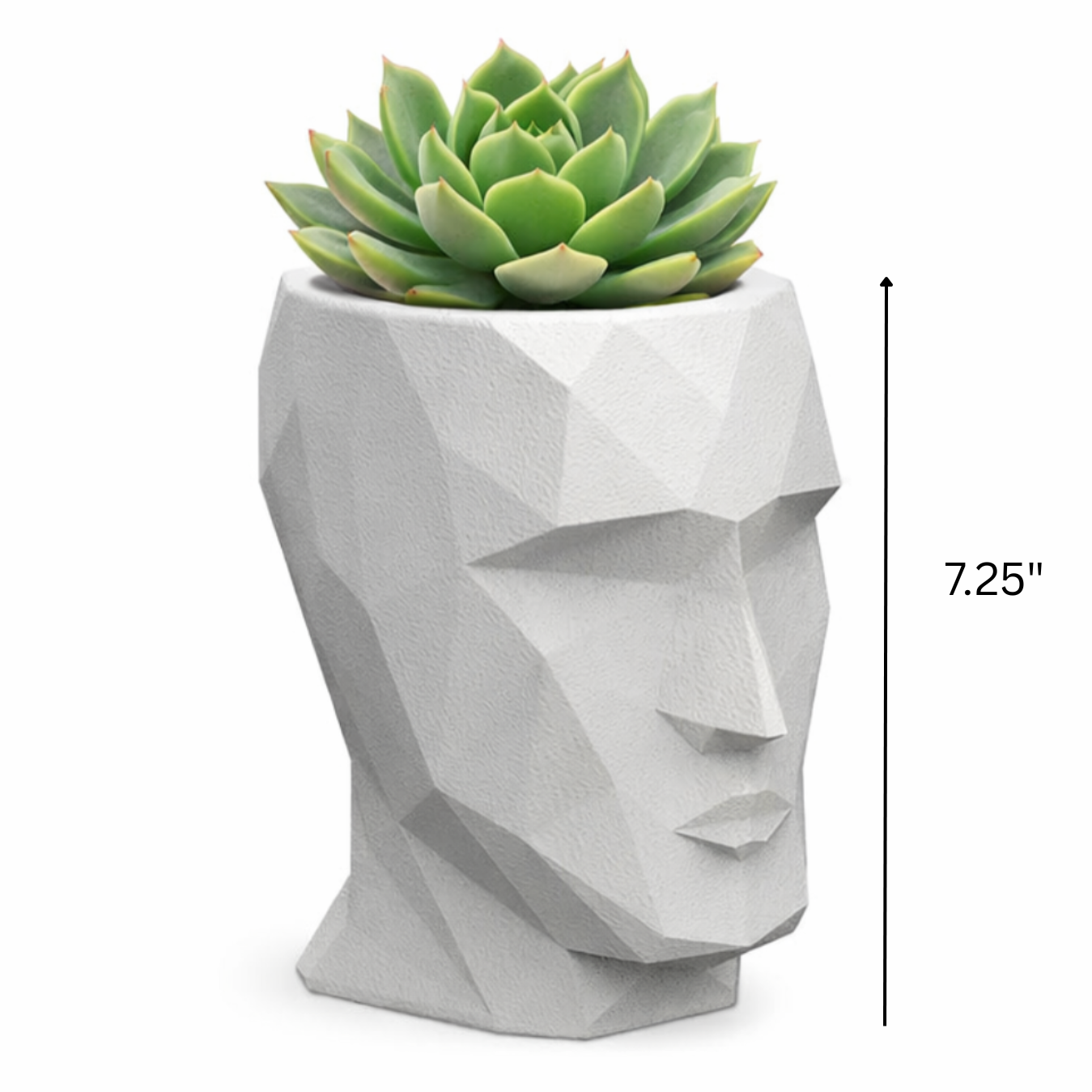 Adan Nano Planter